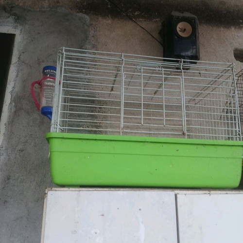 Rabbit cage used, spacious