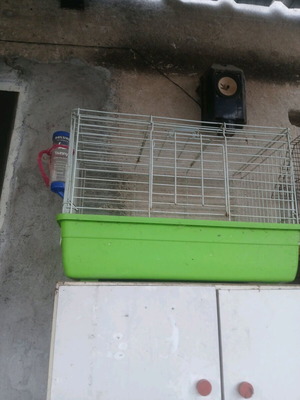 Rabbit cage used, spacious