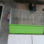 Rabbit cage used, spacious