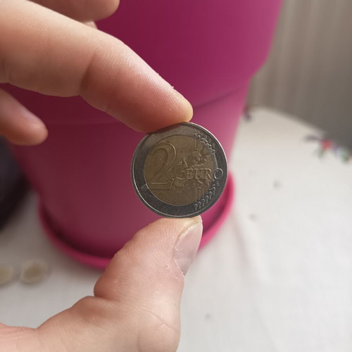 Germany 2 Euro Commemorative Coin 2024 Mecklenburg-Vorpommern