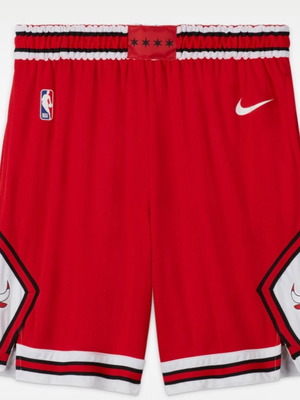 Nike NBA σορτς Chicago Bulls νέα, μέγεθος L