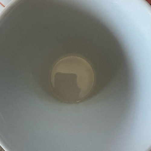 Porcelain cup and saucer set new with gift sugar bowl