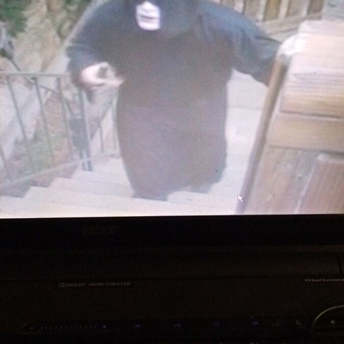 Zohro Meets the Mob DVD like new with subtitles