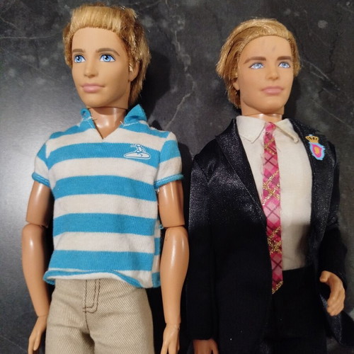 Barbie Ken dolls used, dreamhouses and princess school set