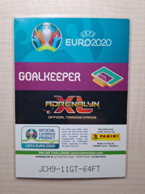 Gianluigi Donnarumma Panini UEFA EURO 2020 Limited Edition card like new