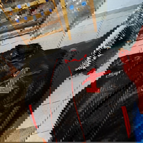 Δερμάτινο μπουφάν μηχανής Essenza