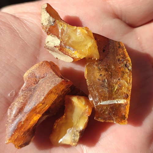 Russian Amber low pressure fragile, 4 pieces 8 grams