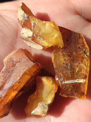 Russian Amber low pressure fragile, 4 pieces 8 grams
