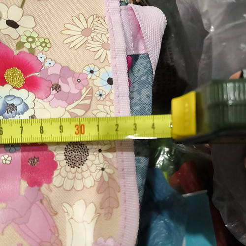 Kimmidol crossbody bag used, multicolor, missing one flower