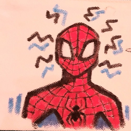 Spiderman-Spiderverse pencil case handmade like new