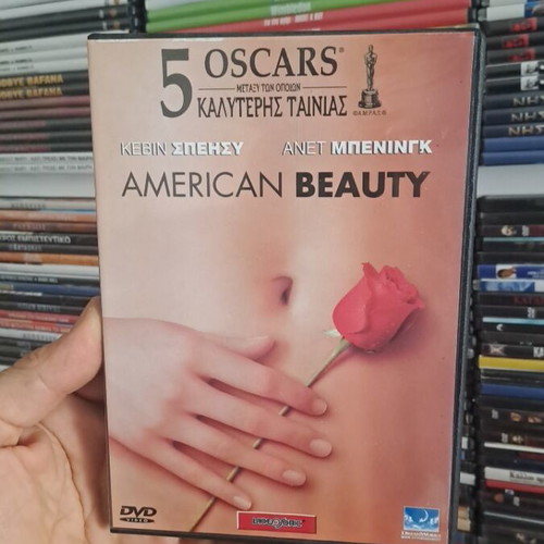 American Beauty DVD like new, authentic collectible masterpiece with subtitles