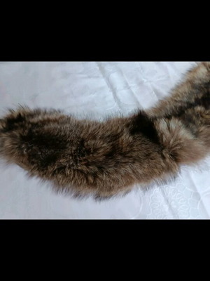 Fur collar genuine raccoon new, beige brown