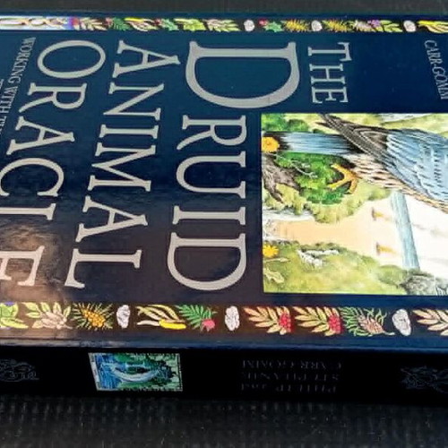 The Druid Animal Oracle set like new with book and cards
