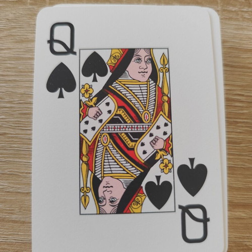Dal Negro Treviso playing cards set used, red and blue
