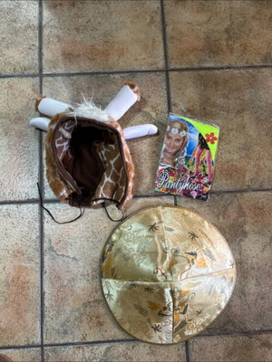 Carnival fancy dress accessories used