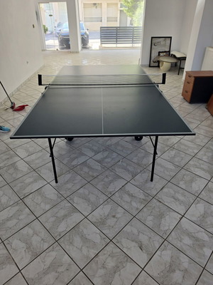 Techno Pro ping pong table