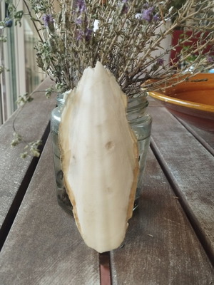 Cuttlebone for pets like new