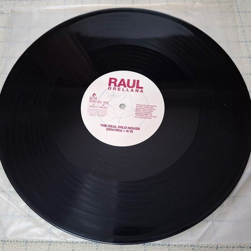 Raul Orellana The Real Wild House 12' vinyl used, electronic