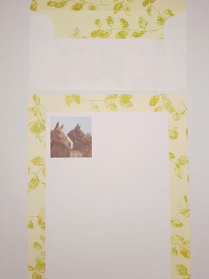Correspondence new, excellent condition