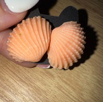 Shells earrings new handmade beige