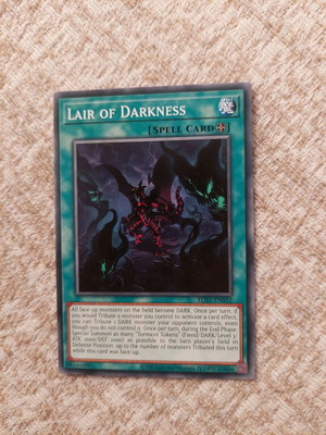 Yu-Gi-Oh Lair of Darkness card like new