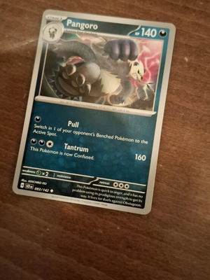 Pokemon Card Pangoro new