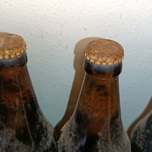 Vintage Amstel beers pack with sealed bottles