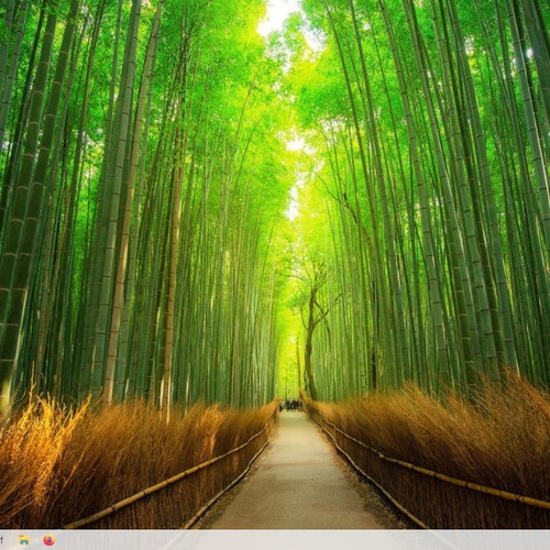 Dell desktop computer set with Philips 221V monitor, SSD + HDD, Windows 10 & Office