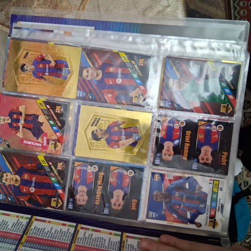 Album 2024 used with 129 cards