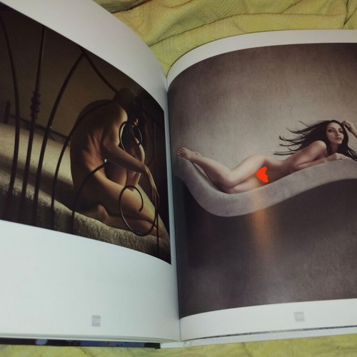 Les 20 meilleurs photographes de nu book like new, French
