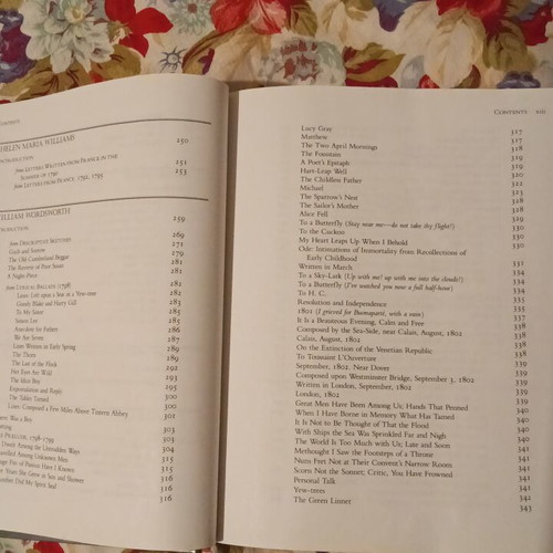 English Romantic Writers book like new