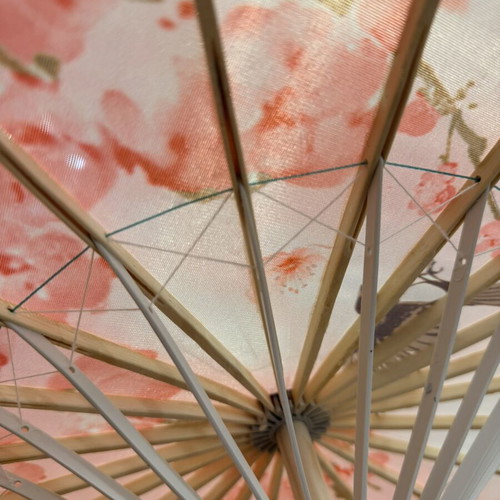 Chinese Pink Umbrella New With Almond Blossom And Bird Pattern