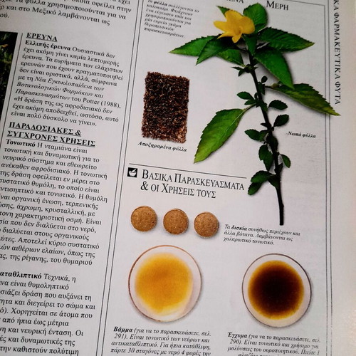 Botanotherapy Large Encyclopedia of Medicinal Plants by Andrew Chevallier used