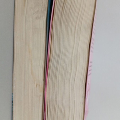 Lena Manta books used, pack of 2