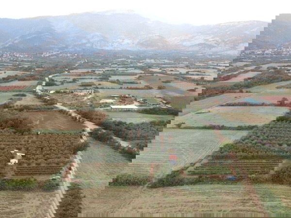 Κτήμα 8 στρεμμάτων με οικία, αμπελώνας, ελαιώνας