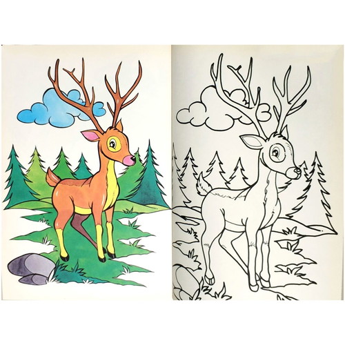 Chromorama of Animals new children's book with painting