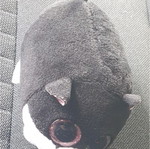 Plush mouse like new