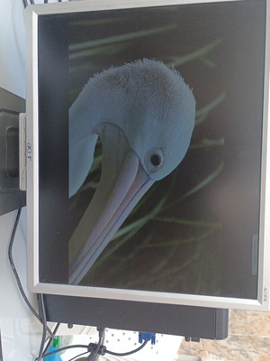 Acer AL1916s 19" οθόνη σαν καινούργια, VGA LCD