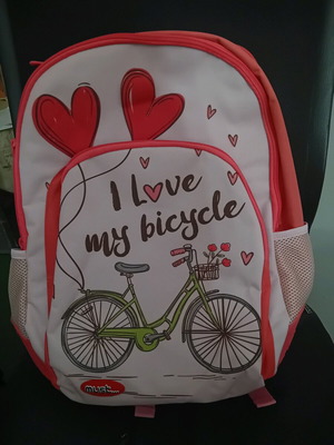 School Backpack new, spacious with many compartments