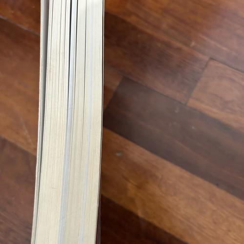 Book Daily Risks and Their Management new
