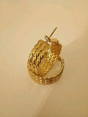 Earrings lightly used