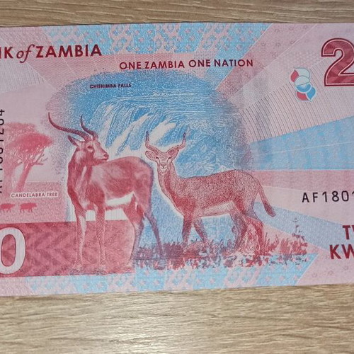 Zambia 20 Kwacha banknote 2024 new