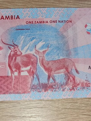 Zambia 20 Kwacha banknote 2024 new