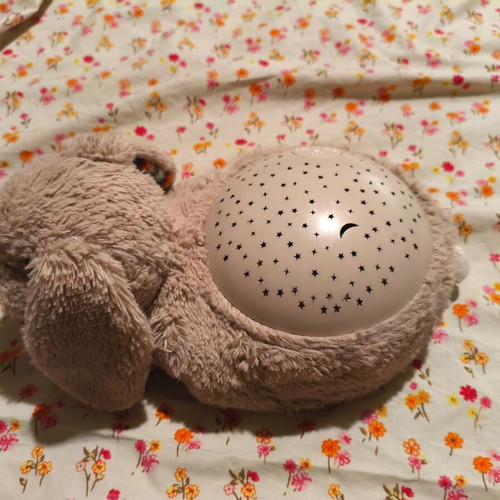 Children's Night Projector used with plush bunny and musical teddy bear gift
