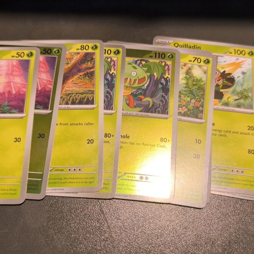 Chaos Rising 70% Set with Froakie IR Cards like new