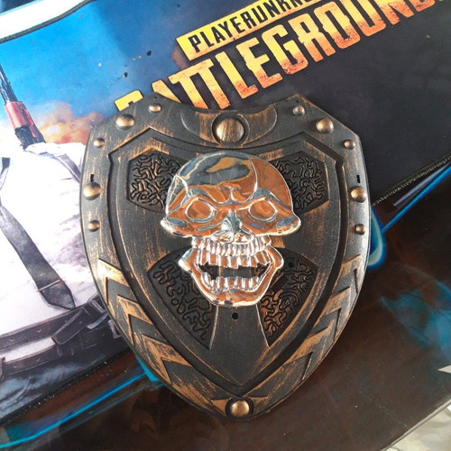 Children's Shield with Skull, Ready for Adventures.