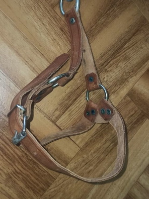 Leather goat tethering strap new