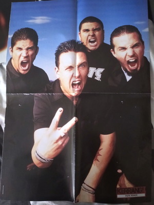 Papa Roach poster like new