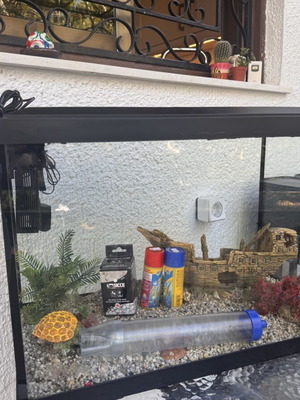 60L aquarium with filter and decorations