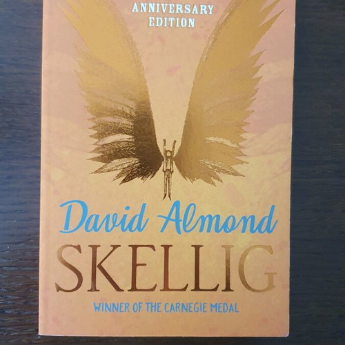Skellig foreign language book like new with box now